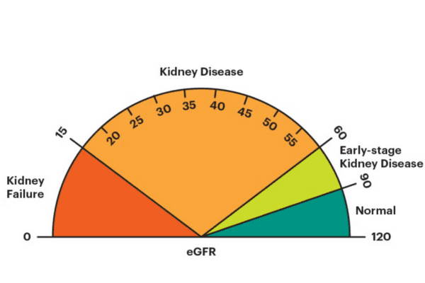 Illustration of a calculator and medical icons