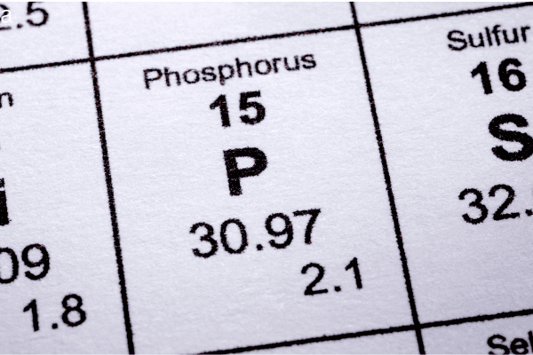 The Hidden Danger in Your Blood: Understanding High Phosphorus